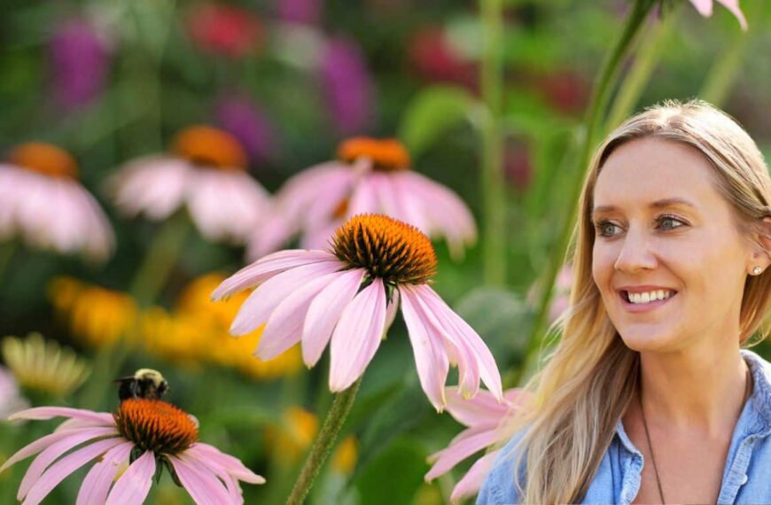 Las mejores plantas perennes para un jardín luminoso y soleado.